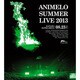 Animelo Summer Live 2013 FLAG NINE 8.23 [Blu-ray Disc]