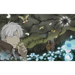 蟲師 特別篇 日蝕む翳 [Blu-ray Disc]