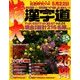 特大 漢字道 2014年 04月号 [雑誌]