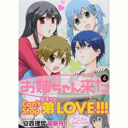 お姉ちゃんが来た 4（バンブー・コミックス） [コミック]