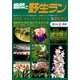自然と野生ラン 2014年 04月号 [雑誌]