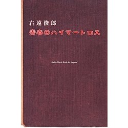青春のハイマートロス [単行本]