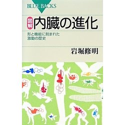 図解 内臓の進化―形と機能に刻まれた激動の歴史(ブルーバックス) [新書]