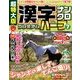 超特大版漢字ナンクロプレミアムハーフ 2014年 04月号 [雑誌]