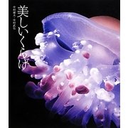 美しいくらげ [単行本]