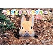 うさぎじまのうさぎちゃん [絵本]