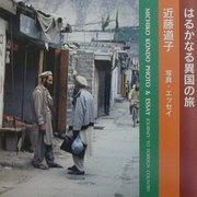 はるかな異国の旅 [単行本]