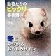 動物たちのビックリ事件簿〈4〉冬にみつかるおもしろサイン [絵本]