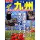 ザ・九州 2014年 3/31号 [雑誌]