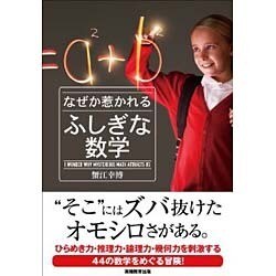 なぜか惹かれるふしぎな数学 [単行本]