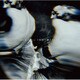 sukekiyo／IMMORTALIS