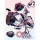 DIR EN GREY／TOUR13 GHOUL [Blu-ray Disc]