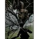 the GazettE／THE GAZETTE LIVE TOUR 13-14 [MAGNIFICENT MALFORMED BOX] FINAL CODA LIVE AT 01.11 YOKOHAMA ARENA [DVD]