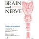 BRAIN AND NERVE (ブレイン・アンド・ナーヴ) - 神経研究の進歩 2014年 03月号 [雑誌]