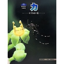 カ―ヤブカの一生(科学のアルバム・かがやくいのち〈18〉) [全集叢書]
