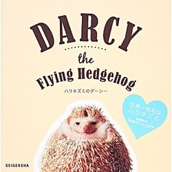 ハリネズミのダーシー―DARCY the Flying Hedgehog [単行本]