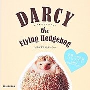 ハリネズミのダーシー―DARCY the Flying Hedgehog [単行本]