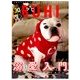 BUHI (ブヒ) 2014年 05月号 [雑誌]