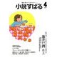 小説すばる 2014年 04月号 [雑誌]