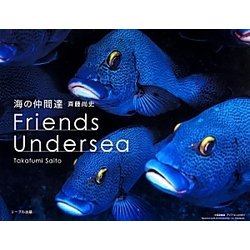 海の仲間達―Friends Undersea [単行本]