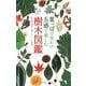 葉っぱで見わけ五感で楽しむ樹木図鑑 [図鑑]
