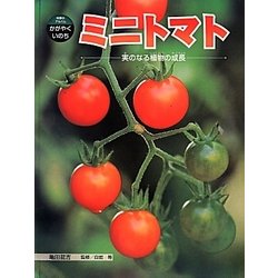 ヨドバシ Com ミニトマト 実のなる植物の成長 科学のアルバム かがやくいのち 19 全集叢書 通販 全品無料配達