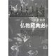 仏教経典史―大活字11ポイント版 [単行本]