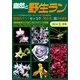自然と野生ラン 2014年 05月号 [雑誌]