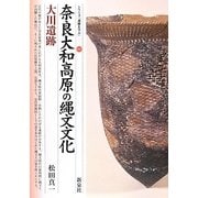 奈良大和高原の縄文文化―大川遺跡(シリーズ「遺跡を学ぶ」〈092〉) [単行本]