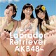 AKB48／ラブラドール・レトリバー
