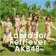 AKB48／ラブラドール・レトリバー
