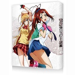 アニメBlu-ray 一騎当千 Blu-ray BOX（３枚組） Amazon.co.jp: 一騎当千 Blu-ray BOX : 浅野真澄, 甲斐田裕子
