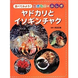 調べてみよう!生きもののふしぎ ヤドカリとイソギンチャク [全集叢書]