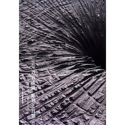 戸谷成雄 彫刻と言葉 1974-2013 [単行本]