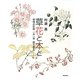 草花と本と―植物水彩画一木一草画文集〈2〉 [単行本]