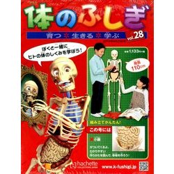 改訂版体のふしぎ 2014年 4/23号 [雑誌]