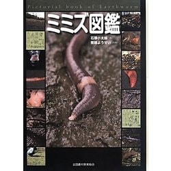 ミミズ図鑑 [図鑑]