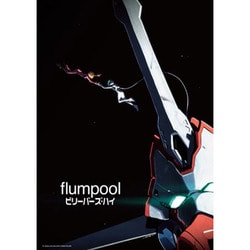 flumpool／ビリーバーズ・ハイ [DVD]