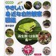 やさしい身近な自然観察図鑑―両生類・は虫類・鳥ほか 図書館版 [全集叢書]