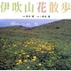 伊吹山花散歩 [単行本]