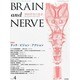 BRAIN AND NERVE (ブレイン・アンド・ナーヴ) - 神経研究の進歩 2014年 04月号 [雑誌]