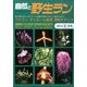 自然と野生ラン 2014年 06月号 [雑誌]