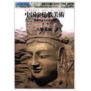中国の仏教美術―後漢代から元代まで(世界美術双書) [全集叢書]