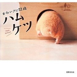 かわいさに悶絶 ハムケツ [単行本]
