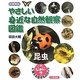 やさしい身近な自然観察図鑑 昆虫 図書館版 [全集叢書]