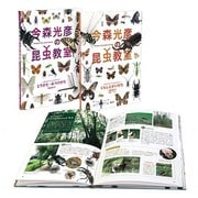 今森光彦の昆虫教室 全2巻 [事典辞典]