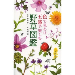色で見わけ五感で楽しむ野草図鑑 [図鑑]