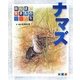 ナマズ―田んぼの生きものたち [絵本]