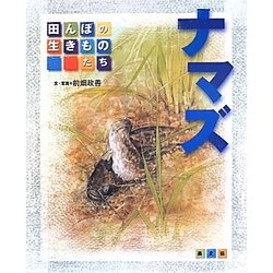ナマズ―田んぼの生きものたち [絵本]