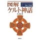 図解ケルト神話(F-Files) [単行本]